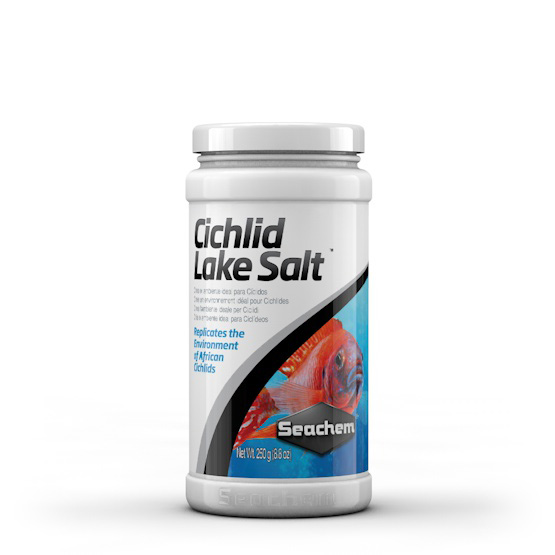 cichlid lake salt